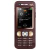 Sony-Ericsson W890i